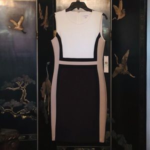 NWT Calvin Klein Scuba Dress